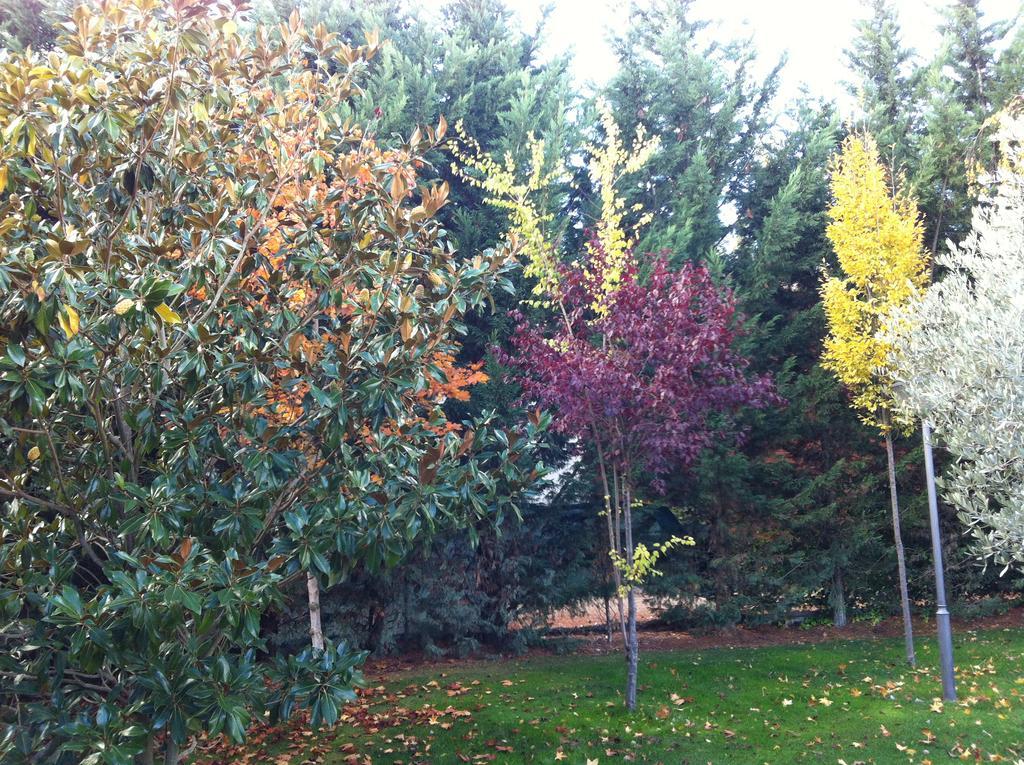 La Alberca Villa Palencia Buitenkant foto